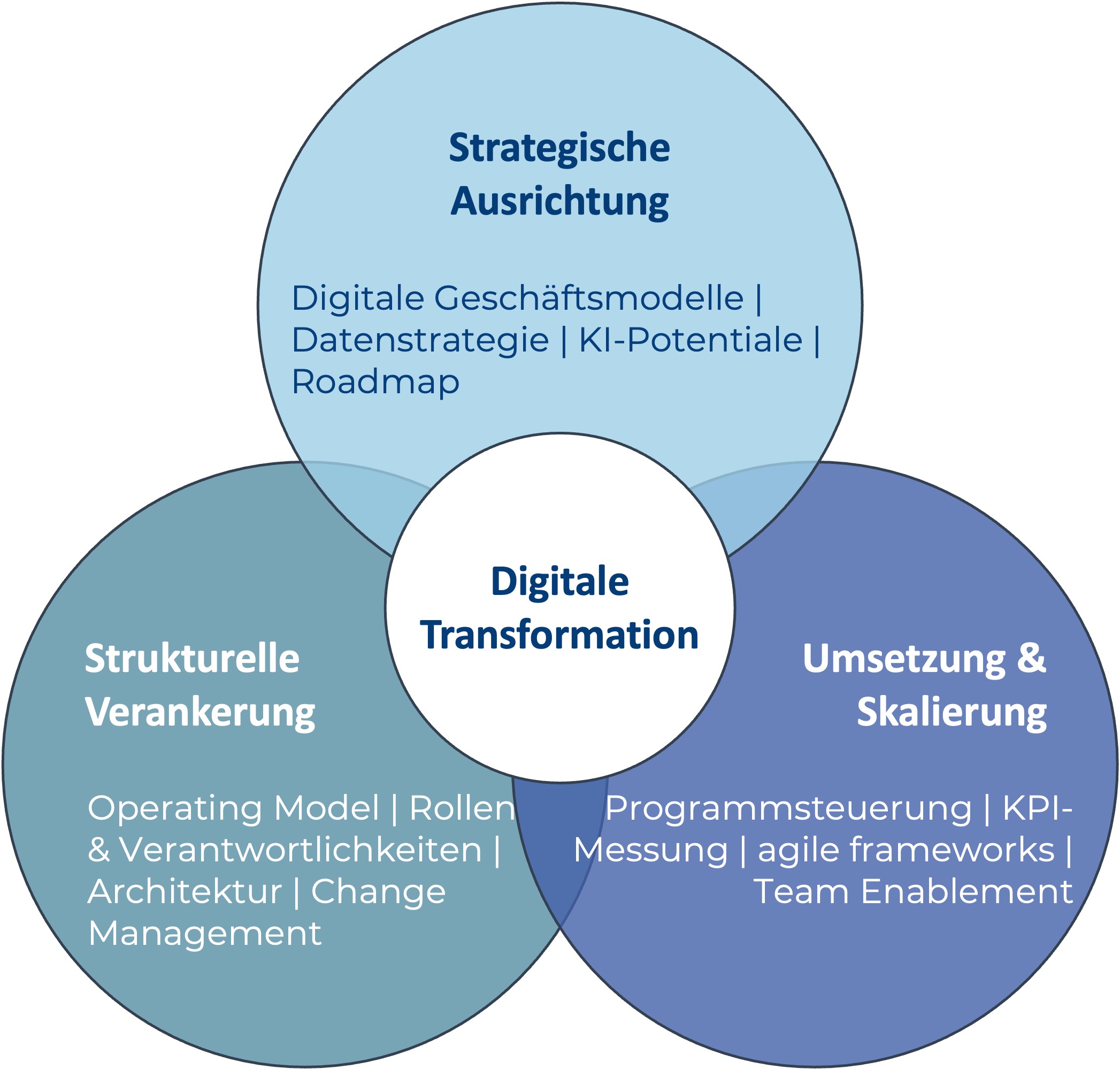 Vorgehensmodell für eine digitale Transformation mit den Feldern strategische Ausrichtung, Strukturelle Verankerung und Umsetzung und Skalierung